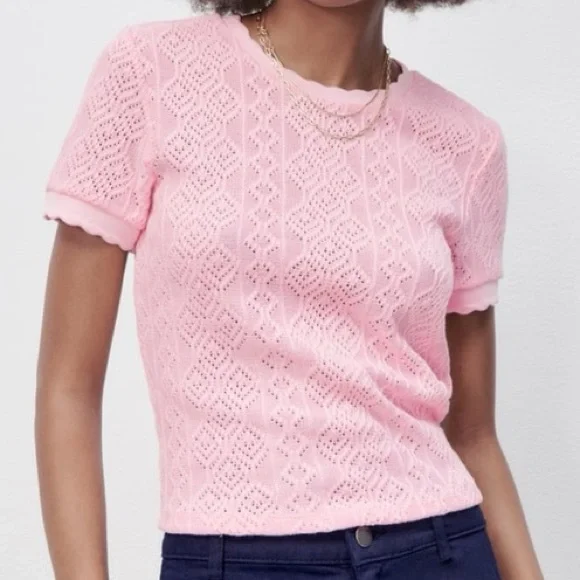 Zara | Tops | Zara Baby Pink Crochet Style Scalloped Knit Top 